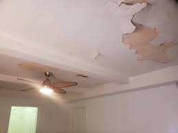 Plaster Ceiling Repair